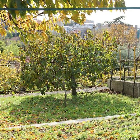 Il Gelsomino Villa Trieste Dış mekan fotoğraf