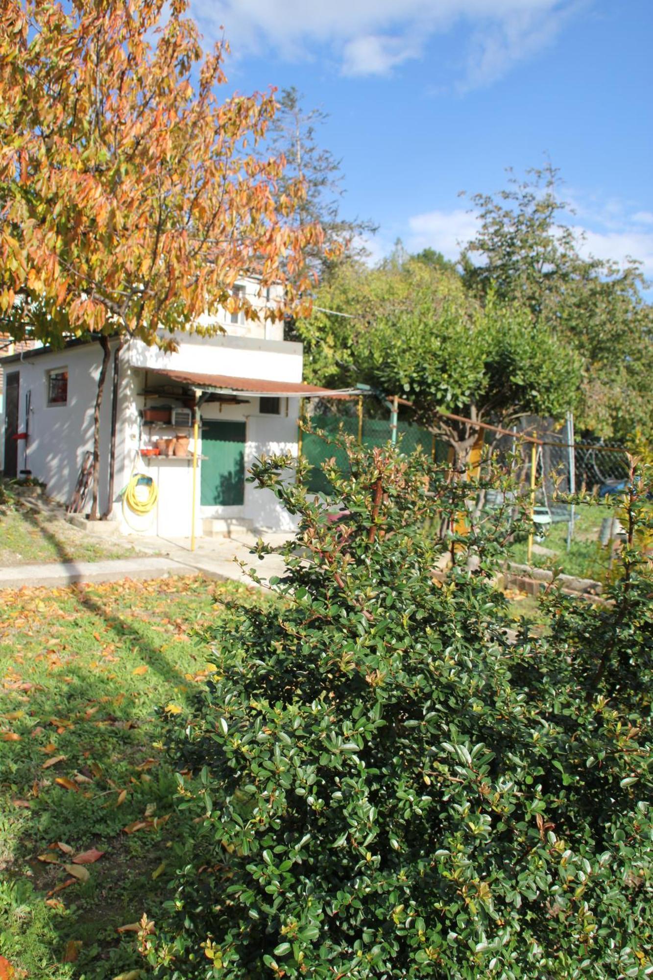 Il Gelsomino Villa Trieste Dış mekan fotoğraf