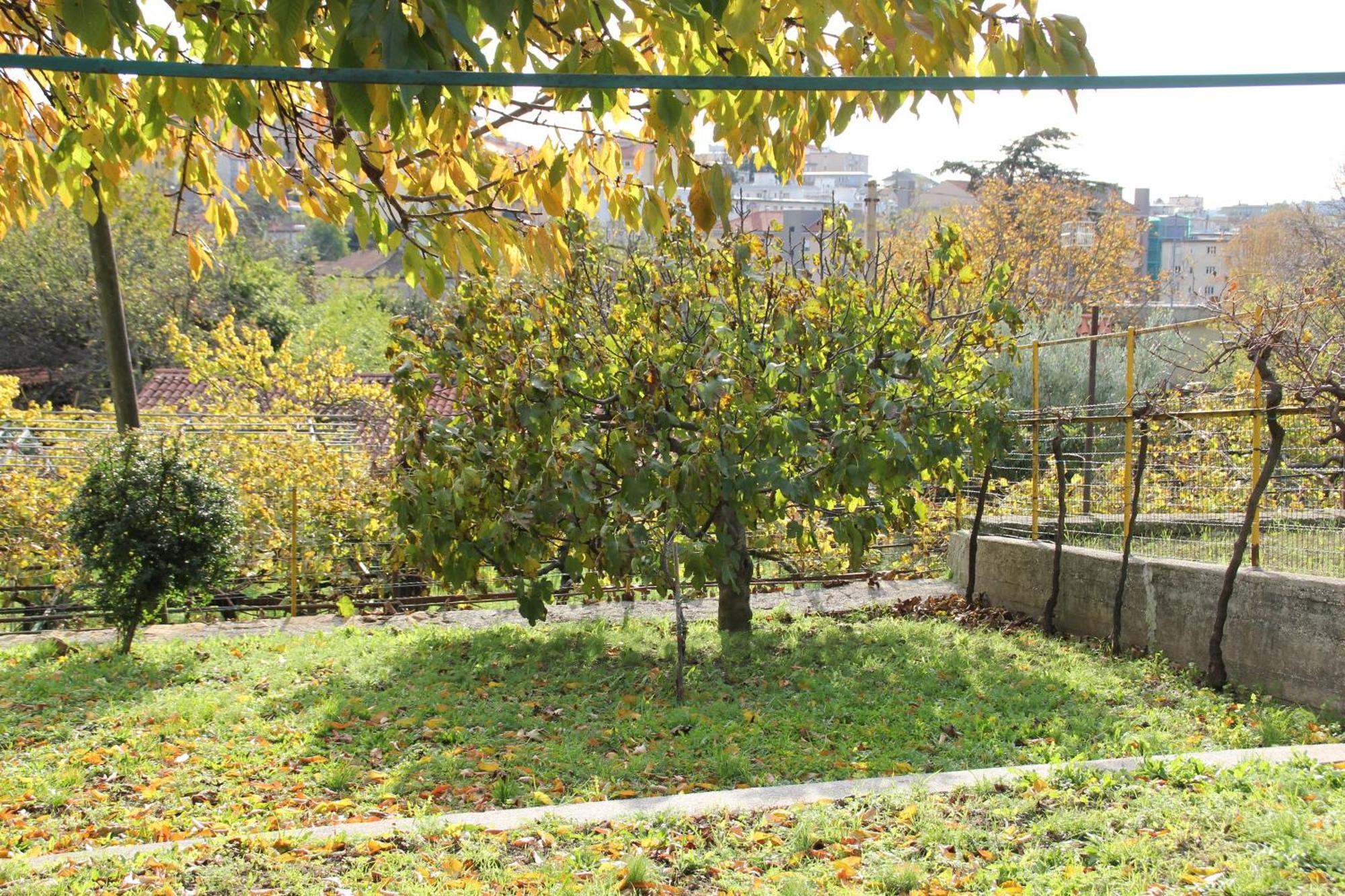 Il Gelsomino Villa Trieste Dış mekan fotoğraf