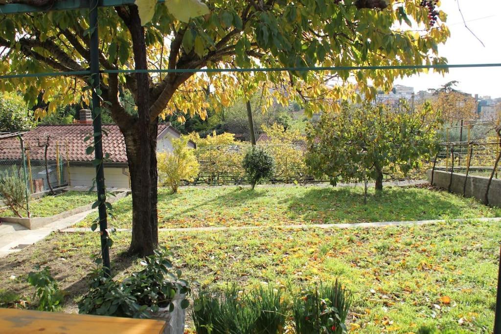 Il Gelsomino Villa Trieste Dış mekan fotoğraf